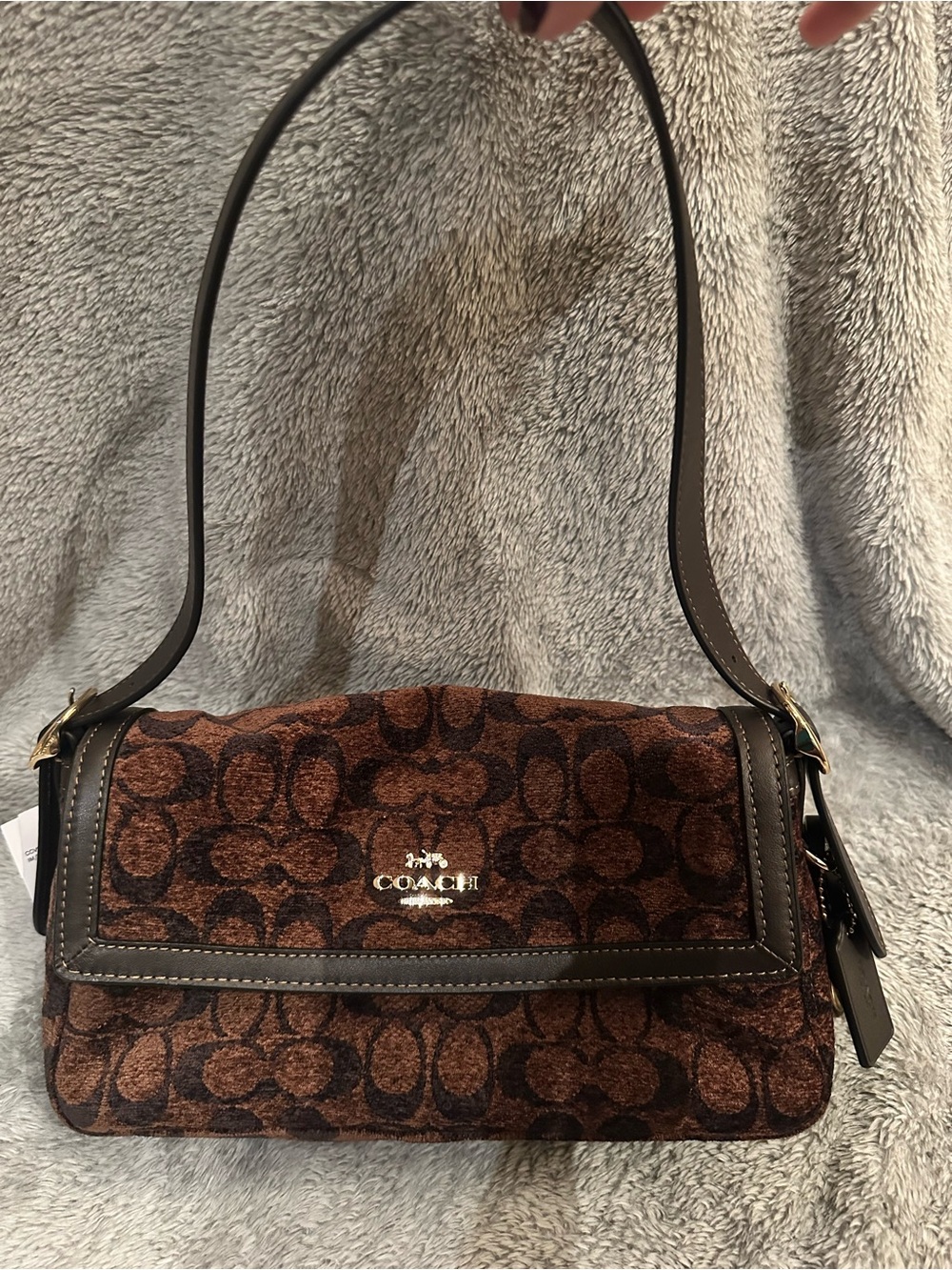 COACH Brown Signature Etta Bag